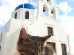 アテネから日帰りサントリー島