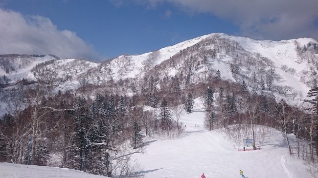 SAJパトロール研修と総会に参加で富良野プリンスホテルに宿泊。一日目はビーコンとプローグの使い方を主に研修、二日目はスキー技術の確認とスキー場全体の安全管理対応の仕方を勉強しました❗
