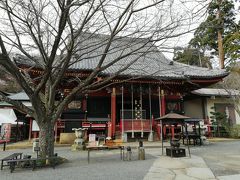 雨引観音で河津桜はちょっと遅かった