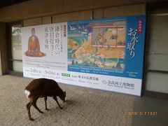 奈良公園散策（'19年3月)
