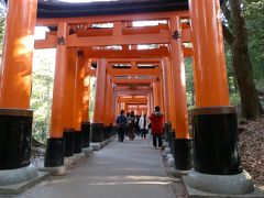 京都総本宮詣り