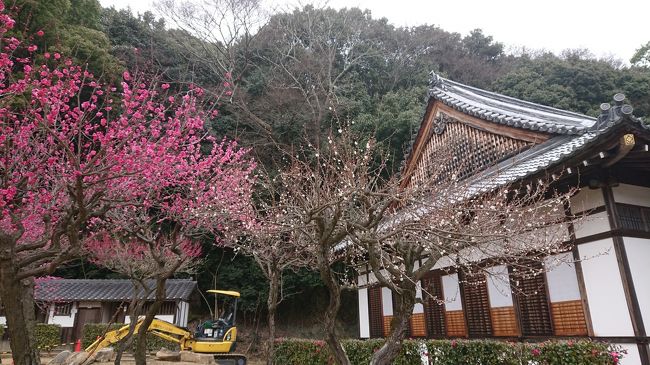 冬にはあまり出歩かない我が家。<br />少し暖かい日に思い切ってお出かけしてみました。<br /><br />*表紙写真は「龍野城」です。<br />