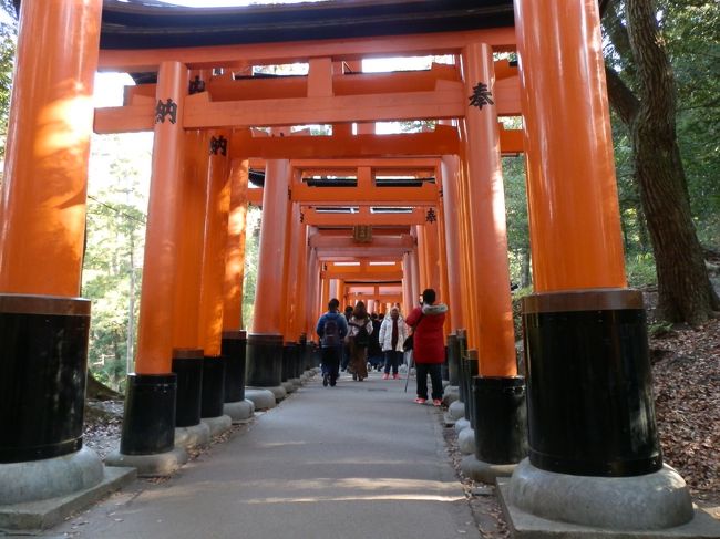 私が住む市内で一番古く、中心の神社が稲荷神社である。「お稲荷さん」とは言わず「箭弓(やきゅう)さん」と呼ぶ。私にとって最も身近な神社だ。その総本宮が伏見稲荷大社である。いつかは参拝したい、という気持ちがかなった旅です。<br /><br /> 総本宮詣り後、南禅寺へ向いました。南禅寺では湯豆腐の昼食と南禅寺散策・レンガ造りの水道橋「水路閣」を見るためです。京都が舞台のドラマによく出て来るのが「水路閣」一度見てみたい場所でした。<br />