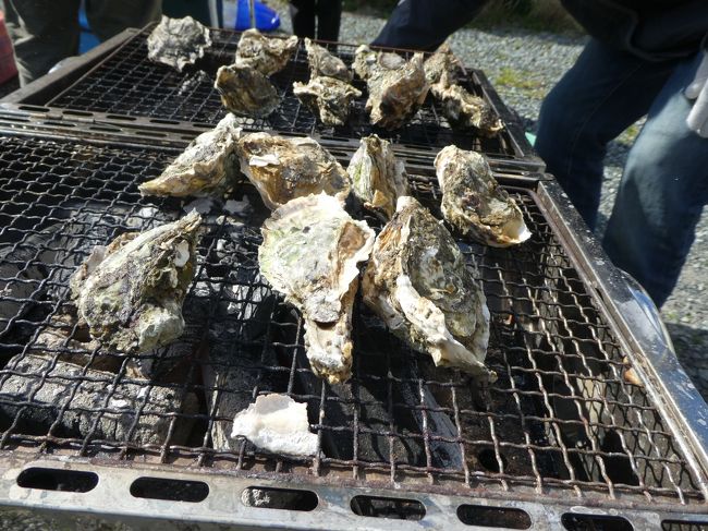 牡蠣の美味しいこの季節。<br />毎年恒例、今年も友人たちと三重県鳥羽市に牡蠣を食べに行きました。<br />ガンガン焼いて、ガンガン飲んで、ガンガン食べます！