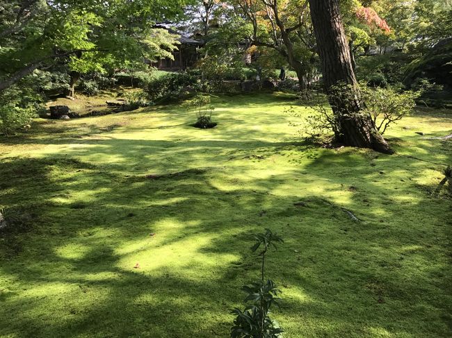 今回の朝観光は、大阪→京都→大阪の旅。<br /><br /><br />３日目も京都市内の散策で京都泊。<br /><br />本能寺、天龍寺、宝厳院、弘源寺、清涼寺、大覚寺、龍源院、相国寺、上御霊神社、賀茂御祖神社、河合神社、下御霊神社、行願寺、頂法寺、錦天満宮<br />を参拝。<br /><br />