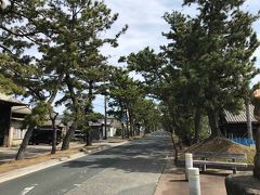 旧東海道舞阪宿の松並木散策と魚あらで海老天丼の昼食