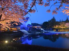 湯の山温泉と愛知のしだれ梅となばなの里と椿大神社