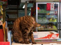 ２０１９ ＪＭＢダイヤ卒業旅行 ＩＮ 香港 その１