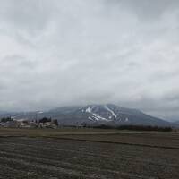 春待ち遠しい福島初春の旅