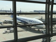 人生初めてのアメリカ 羽田空港からニューヨークへ（ANA NH110） 