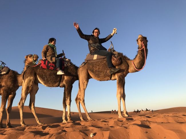 このツアーのメインとなる、ラクダに乗ってサハラ砂漠の日の出を鑑賞します。その後カスバ街道を進みトドラ渓谷に立ち寄りワルザザードまで約300ｋｍの道のりです。