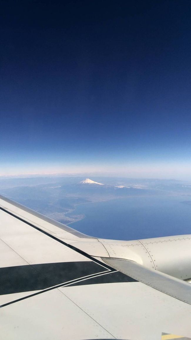 大分空港から羽田空港。<br />晴天に恵まれ大好きな富士山を眺めることが出来ました&#128521;