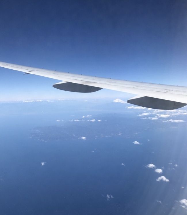 宮古島での3日間のダイビング旅。<br />2日目の夜から4日目(最終日)をご紹介します。