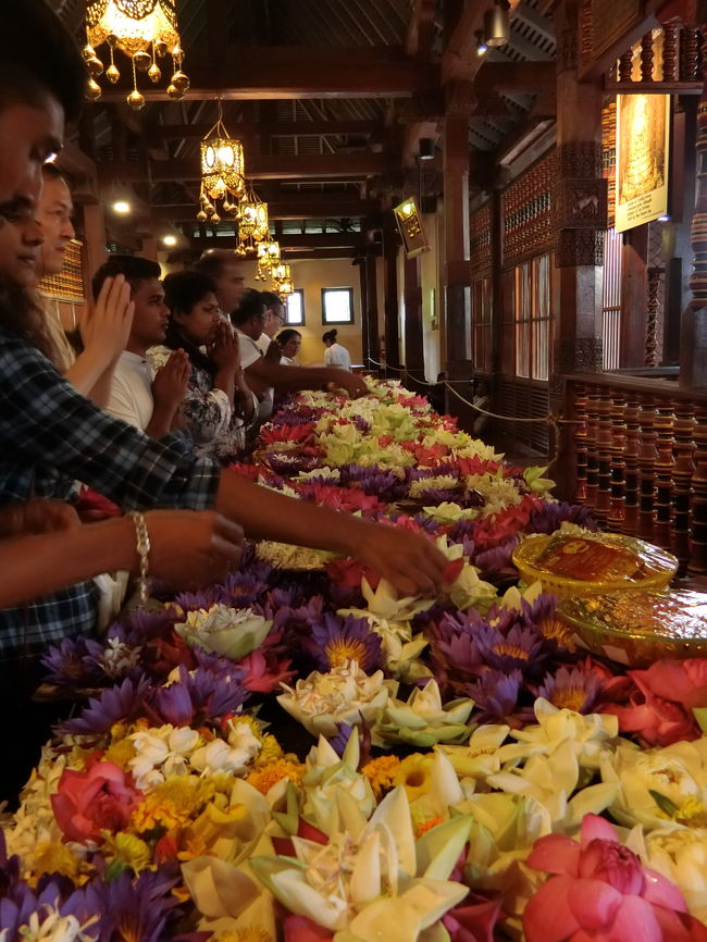 2018年 9月　スリランカ・キャンディ　仏歯寺&紅茶博物館&ホワイトブッダを巡る2日間