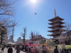 平成最後の東京物語・乙