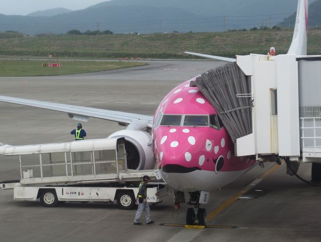 石垣島２０１９春（１７）石垣空港から羽田空港へのフライトはさくらジンベエ　で