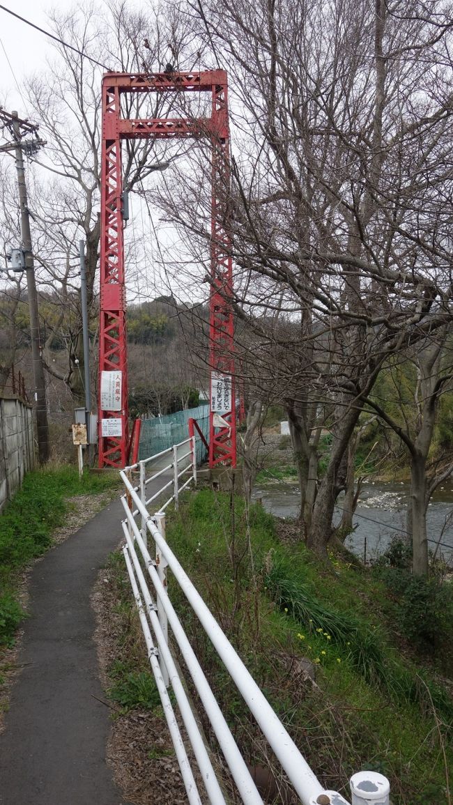 1級河川の大和川に吊り橋があります。それも大阪府内にあると云えば、まさかと云う方も多いでしょうが正真正銘の吊り橋です。ただし人道橋ですが、いわゆる古風な吊り橋で、車道を併設しているのはあまり聞き及びません。その吊り橋を巡る旅です。