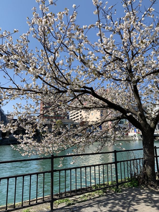 １日目は太宰府天満宮、<br />２日目は櫛田神社へ。<br /><br />グランドハイアット福岡のクラブフロアに宿泊しましたが、カクテルアワーも朝食もクラブラウンジを利用しなかったので、下のカテゴリーでもよかったなと思います。福岡は美味しいものが多すぎて、クラブラウンジを使う暇がありませんね。。。