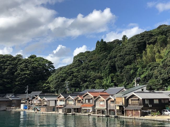 日帰りツアーも考えましたが、歩いて天橋立を渡りたいのと、伊根の舟屋巡りと天橋立までのフェリーが期間限定であるのを知り、フリーで行くことにしました。<br /><br />早朝、高速バスで大阪から天橋立まで。<br />天野橋立を歩いて渡り、府中のロープーウェイ下から路線バスに乗り、伊勢湾めぐり日出まで。<br />そこからフェリーに乗って伊根の舟屋をぐるりと回ってそのまま天橋立駅まで戻りました。<br />高速バスも空いていて、座ったまま天橋立まで行けるので楽ちんです。<br /><br />バスを降りて、大勢の観光客につられて道を行くと、いくつものレンタサイクル屋さんを通り、天橋立へ。<br />レンタサイクルは片道や往復など、幾つもの店で選べる感じでした。<br />両側に静かな海を眺めながら、松林の中を40分くらいで府中に着きました。<br /><br />大通りの方に行くと、ロープーウェイ乗り場。<br />その手前に路線バスのバス停があり、バスを待ちます。<br />向かいにはスーパーがあり、食品なども待ち時間に買えました。<br />路線バスも空いていて、海側が見える右側に座り。<br />変わる景色を眺めながら、フェリー乗り場まで　210円ののんびり旅。<br />乗り場で降りれば、フェリーは舟屋だけの船と、舟屋を回って天橋立までのと2漕。<br />もう出発時間を少し過ぎていましたが、私がチケットを買うのを待っていてくれました。<br /><br />伊根の舟屋はしっとりと静かな時間が流れる、静かなたたずまいの場。<br />夕暮れに来ると最高に素晴らしい風景だろうな・・という感じでした。<br />ここで降りて次の遊覧船を待つのも素敵ですが、私の船は天橋立まで行く、期間・便限定なので降りることはできず、ちょっと残念でした。<br /><br />多くのカモメが餌を目当てに船に近づき続き飛び、かっぱえびせんやパンくずを投げてやると、上手にとらえていきます。<br />舟屋巡りだけだとすぐに1周して終わりですが、天橋立までなので時間も長く、カモメたちもずっとついてきていました。<br />210円で行った行程を、1500円で帰るのかと、ちょっと笑ってしまいましたが、それを楽しむ旅ですから。笑<br />帰りも高速バスで、のんびりと、フリーなスケジュールで楽しめた1日でした。<br /><br />