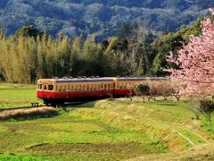 早春の房総　小湊鉄道と沿線の菜の花めぐり