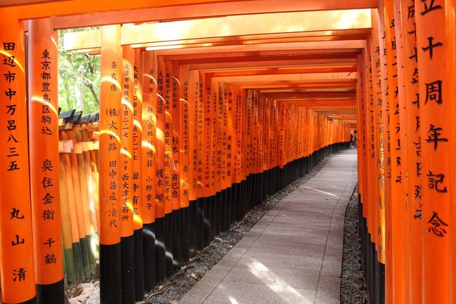 またまた妻の友人の結婚式で京都へ。<br />1日目 南禅寺(私は万博公園)、賀茂川<br />2日目 朝の伏見稲荷、大阪レトロ建築、あべのハルカス<br />3日目 京都鉄道博物館<br />と、満喫しました。