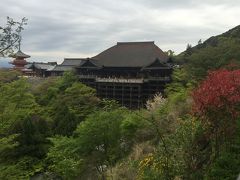朝観光（２）　京都　