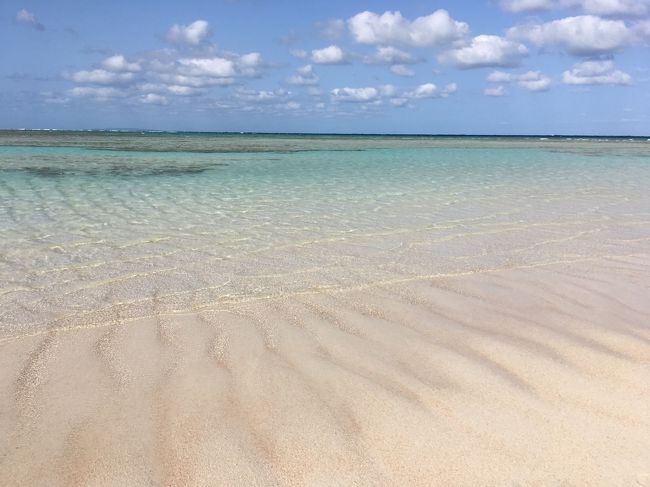 喜界島、奄美大島、加計呂麻島、与論島4島めぐりの旅の後半で、3/26~3/28の旅行記です。<br /><br />3/26(火) ホテルカレッタチェックアウト<br /> あやまる岬観光<br /> 浜千鳥館で試飲や買い物<br /><br /> 奄美空港内でお弁当の昼食<br /> 日本エアコミューター3861便(奄美大島空港~与論空港)<br /><br /> 与論城跡、サザンクロスセンター観光<br /> 百合ヶ浜グラスボート遊覧<br /> プリシアリゾートヨロン泊<br /><br />3/27(水) プリシアリゾートヨロンチェックアウト<br /> 赤崎鍾乳洞観光<br /> 与論民俗村観光<br /><br /> プリシアリゾートヨロンで昼食<br /><br /> 日本エアコミューター3824便(与論空港~鹿児島空港)<br /> 日本航空650便(鹿児島空港~羽田空港)<br /><br /> 京急蒲田駅近くのリリーフプレミアム羽田泊<br /><br />3/28(木) リリーフプレミアム羽田チェックアウト<br /> ららぽーと柏の葉「八菜」で昼食後帰宅<br />