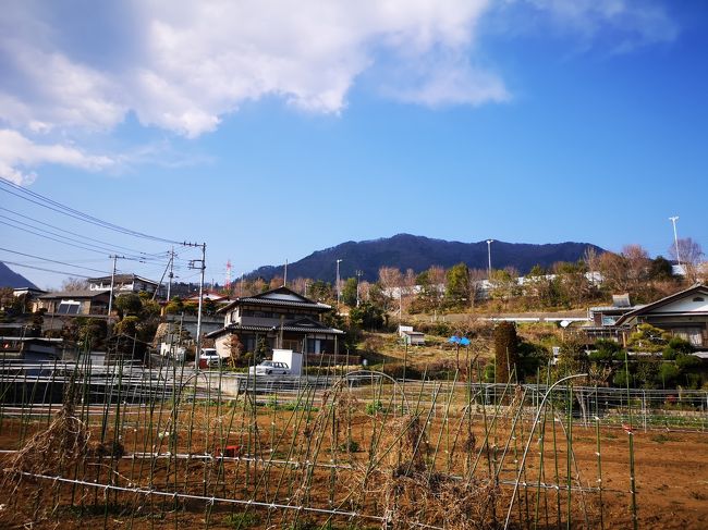 息子が春休みに入ったので、ちょっくら山へ行ってきました！前回の岩殿山からの美しい富士山に味を占めて、再び大月エリアへ。そして鉄オタ息子の為に今回は電車＆バス利用。欲張って二座登頂したものだから万歩計付けて以来の三万歩越え♪<br /><br />JR中央特快　中野駅　6:52　～　高尾駅　7:31<br />JR中央本線　高尾駅　7:43　～　猿橋駅　8:16<br />富士急山梨バス　駅前通り　8:46　～　百蔵山登山口　8:51<br /><br />百蔵山山頂　10:28～11:02<br /><br />扇山山頂　　13:34～14:06<br /><br />JR中央特快　鳥沢駅　16:21　～　中野駅　17:39