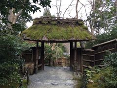 京都嵐山 平清盛ゆかりの祇王寺、保津川下りとモンキーパークへ