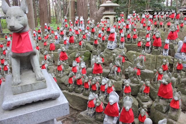 豊川稲荷神社及び参道を中心に､町巡りをしました。