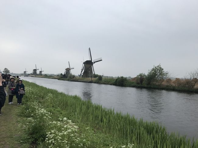 ドイツ・ライン川下りや河畔の町やベネルックス三国の運河・花・名画を楽しむ旅　5-1　オランダのシンボルの一つ風車群のあるキンデルダイク