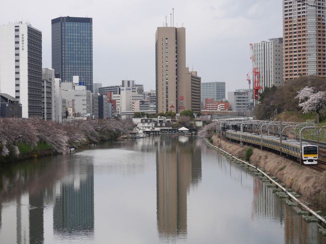 東京市ヶ谷・満開の靖国神社～外濠公園の“さくらまつり2019”を訪れて