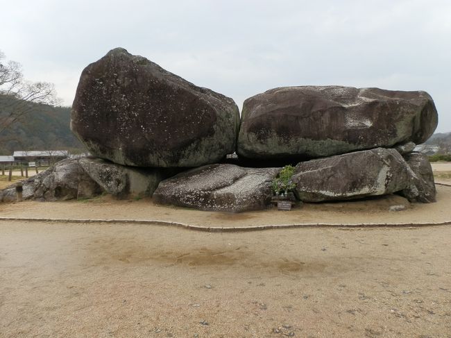 山の辺の道を踏破し、藤原京跡、大和三山・吉野・東大寺・春日大社などを歩き、飛鳥時代に日本史のロマンを感じ、吸い寄せられました。<br /> 飛鳥は、大和国高市郡にあった地域で、現在の奈良県高市郡明日香村大字飛鳥周辺を指します。飛鳥は宮都が置かれていた所です。言うなれば、日本の古代国家の原点とも言える飛鳥地方。当時の首都だった所、誰もが興味をそそられる地域だと思います。日本史をかじってみようと旅に出ました。<br />