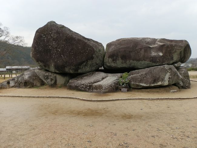 　山の辺の道を踏破し、藤原京跡、大和三山・吉野・東大寺・春日大社などを歩き、飛鳥時代に日本史のロマンを感じ、吸い寄せられました。<br />　飛鳥は、大和国高市郡にあった地域で、現在の奈良県高市郡明日香村大字飛鳥周辺を指します。飛鳥は宮都が置かれていた所です。言うなれば、日本の古代国家の原点とも言える飛鳥地方。当時の首都だった所、誰もが興味をそそられる地域だと思います。日本史をかじってみようと旅に出ました。<br />