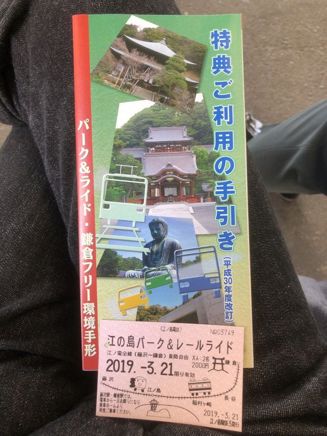 久しぶりに湘南までドライブして江ノ島の駐車場からパークアンドライドで鎌倉へ。以前より料金上がっちゃいましたが、駐車場代、江ノ電往復代だけでもお得なプランです。おまけに渋滞を回避できるので計画が立てやすいですね。鎌倉では七福神のうち六福神を巡ってきました。小田原は雨だったようですが、鎌倉は晴れていてラッキーでした。