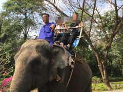 タイ専科　６３　サンプラーン動物園　　Samphran Elephant Ground & Zoo