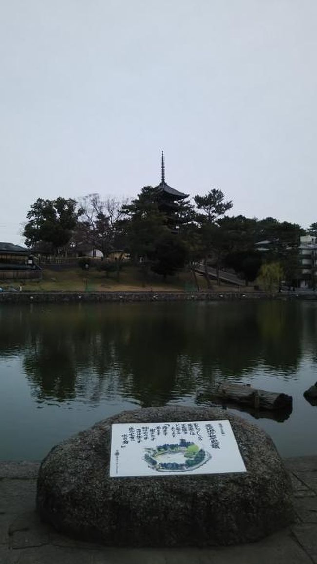 奈良市と木津川市にもいきました<br />奈良市の観光スポットはたくさんの外国人でいっぱいでした・・・<br />静かに猿沢池・ならまち周辺を散策、食をたのしみました<br />木津川市にもいき、「うなぎ」「そば」を堪能しました<br />加茂の街は好きです・・・<br />恭仁宮跡とお寺といい 本当のいい街です。<br />加茂の街のお寺さんは 又、次の機会に紹介できたらと思います<br />あじさい寺もシーズンになれば見事です・・・・<br /><br />