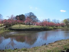 茨城・古河桃まつりと間宮林蔵記念館