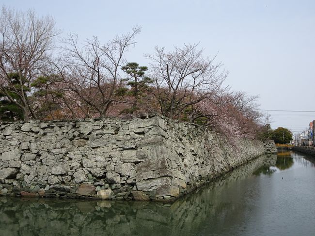 徳島県阿南市に用事があり、でかけました。<br />時間も取れないだろうと思っていたので、持っていったカメラはコンデジ（サイバーショット）だけにしました。<br />用事もすんなり済、時間に結構余裕ができので、徳島城跡に寄ってみました。<br />ところが、カメラの電池がすぐになくなってしましました。<br />仕方がないので、スマホで撮っていくことに。<br />徳島城跡の桜は咲き始めており、桜と石垣の美しい景色、そして名勝「旧徳島城表御殿庭園」の素晴らしさなど、見どころがたくさん。<br />そして徳島城跡駐車場の近くの創作和菓子「茜庵」でも、美味しいお菓子と気持ちの良い対応で、満足しました。<br /><br />【写真は、石垣に咲き始めた桜です】<br />