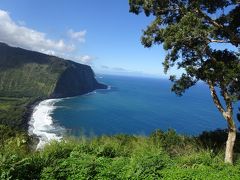 ハワイ旅　3日目　キラウェア火山とマウナケア山麓星空観測