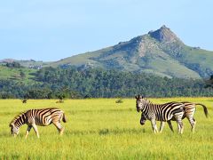 南部アフリカの小さな王国 ～エスワティニ～