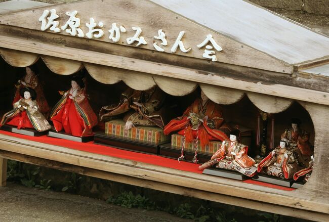お雛めぐりをしないと春が来ないSZKさんと唐辛子婆。<br />今年は東京駅八重洲口からバスに乗って千葉県の佐原まで<br />お雛さまを見にでかけました。<br /><br />お雛祭りをやっているのは2月9日から3月24日まで。<br />3月9日(土)には「さわら雛舟春祭り」が行われたやうです。<br />「本物の雅楽で平安時代にタイムスリップ!」<br />平安装束のお内裏様、お雛様、五人囃子、官女、稚児たちを乗せた船が<br />小野川を進むそうです。<br /><br />佐原駅のそばの「町並み観光中央案内処」の方々がとっても親切で<br />たすかりました。<br /><br />★Japan お雛さまシリーズ サイトマップ<br />https://4travel.jp/travelogue/11333987<br />