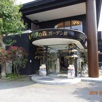 2019年3月/伊東(アンダの森一碧湖)リニューアル後訪問☆春休み①