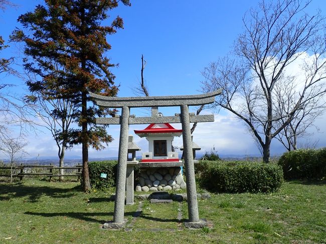 平成最後のお花見③　水口岡山城跡に向かうの巻