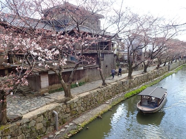 ３日め　16668歩<br /><br />今日は近江八幡と三井寺へ。<br />近江八幡は初めて一人旅をした記念の地、<br />あまりの昔で覚えていることが少ない（笑）<br /><br />ライトアップの桜も見たいので、<br />三井寺まで足を延ばしてみたものの、<br />600円を支払って夜桜が見れないのもね～<br />3年前に三井寺の桜は観たし…<br />ということで、門前で終了。<br /><br />平成最後のお花見⑤　MIHO　MUSEUMと夕照の道へ続く