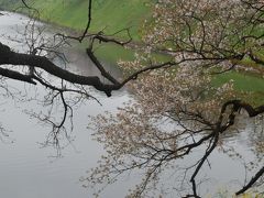 東京散歩　皇居代官町通りから千鳥ヶ淵公園を抜け国立劇場へと歩きました。