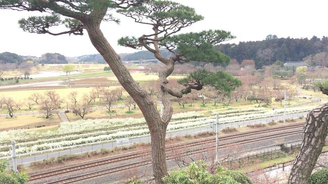 水戸に行きました！