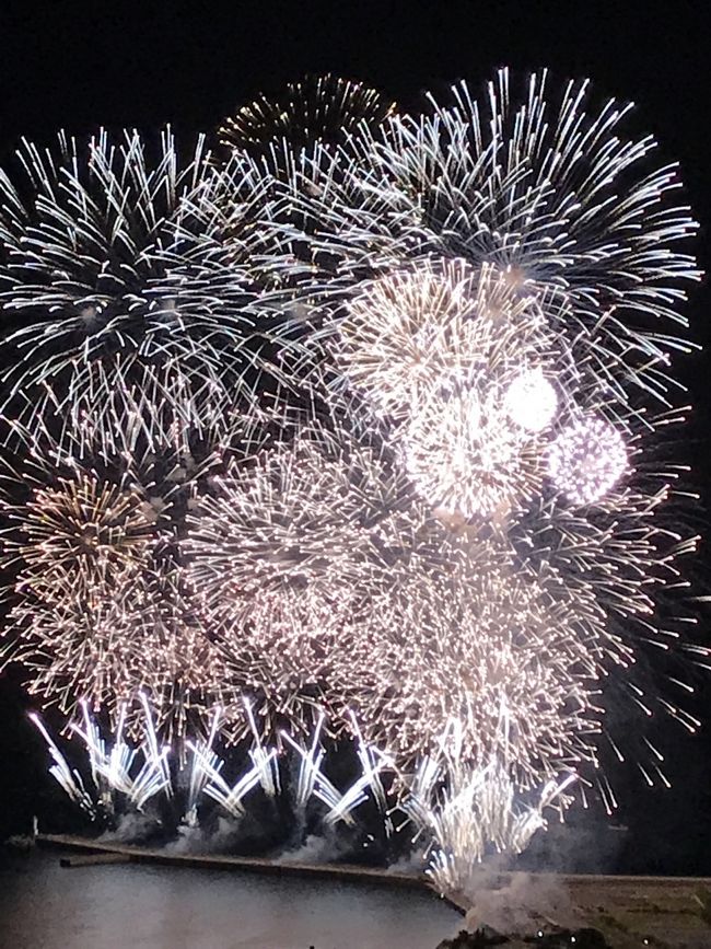 母との2人旅  クレイルに乗って下田へ、そして熱海の花火