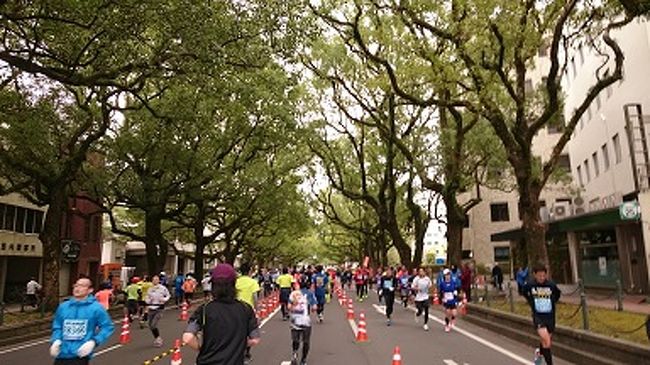 通称あおたい、宮崎県の「青島太平洋マラソン」に参加するために宮崎を旅行しました。1日目は、伊丹から宮崎に飛び、レンタカーで宮崎神宮と平和台公園を訪れた後、ホテルシーガイヤへ。2日目は青島神宮と鵜戸神宮に参拝した後、サンメッセに行き、そのあとマラソンの手続きに運動公園へ。3日目は、マラソン当日。電車で会場へ。42.195ｋｍを走り、ヘロヘロになって、温泉極楽湯でアイシング。4日目は、ホテルをゆっくり出て、空港にで土産物をゆっくり品定め、伊丹からはバスで徳島へ。夜帰宅。この旅は私にとって47都道府県への旅行の最後の県であり、これで全国制覇！？しました。