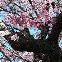 夏の終わりと春間近の熱海温泉